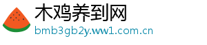 木鸡养到网